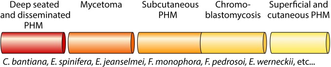 FIG 8