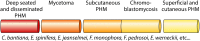 FIG 8
