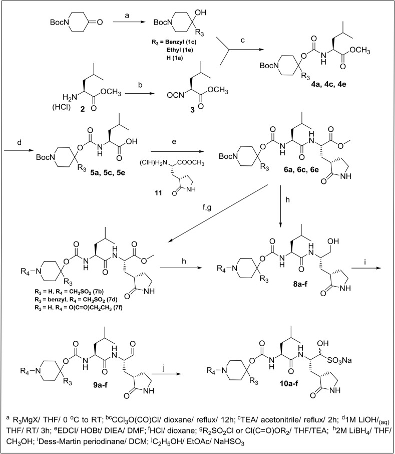 Scheme 1