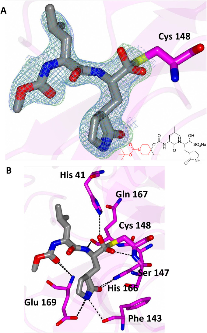 Fig. 7