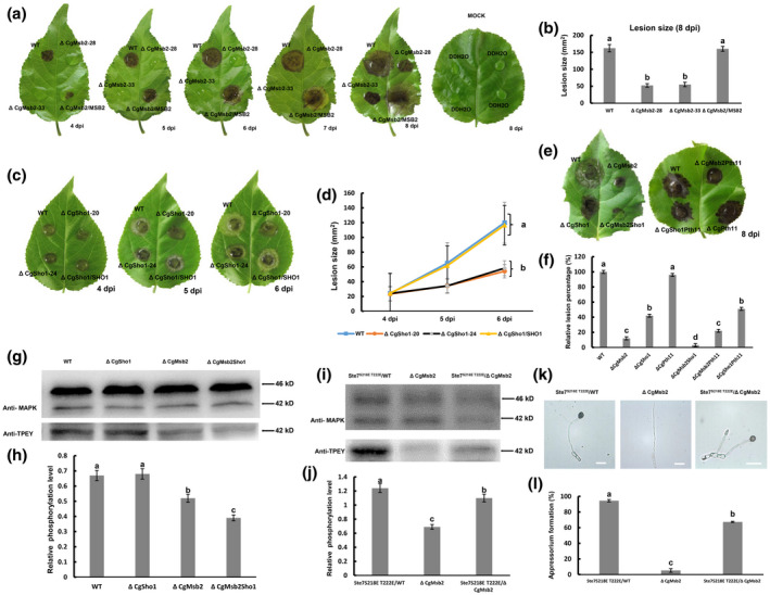 FIGURE 3