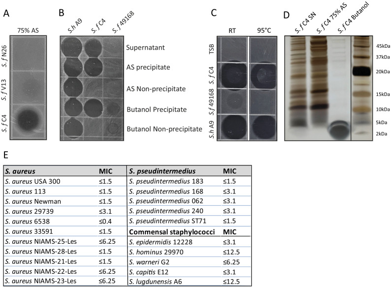 Figure 1—figure supplement 1.