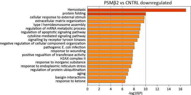 Figure 3—figure supplement 2.