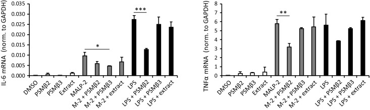 Figure 3—figure supplement 1.