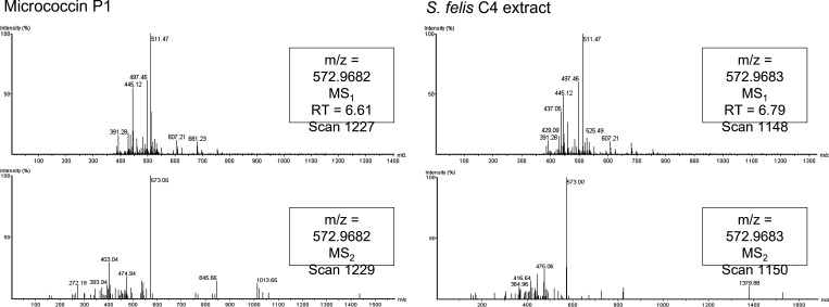 Figure 4—figure supplement 1.