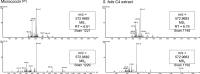 Figure 4—figure supplement 1.