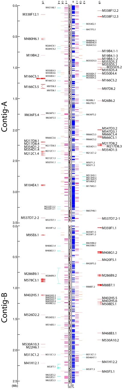 Fig. 2.