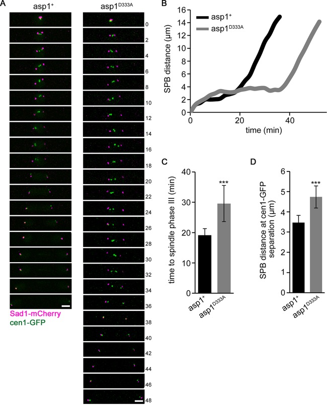 FIG 5