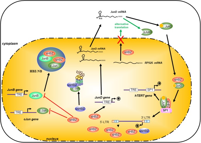 FIGURE 4