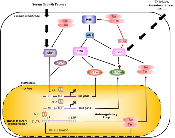 FIGURE 3