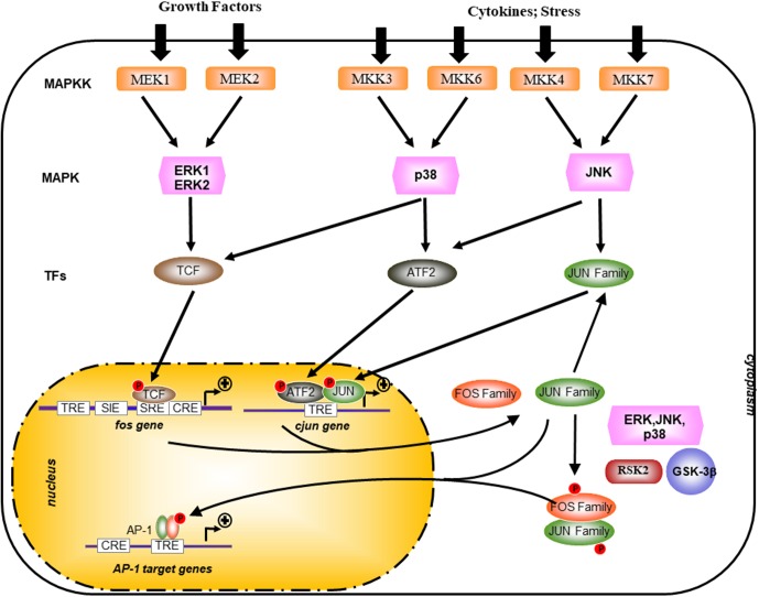 FIGURE 2