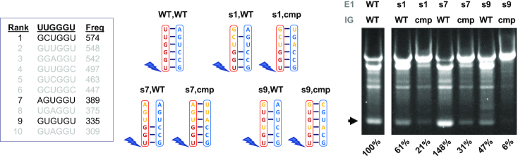 Figure 6.