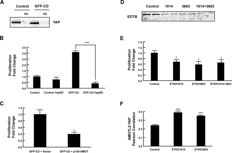 FIGURE 4: