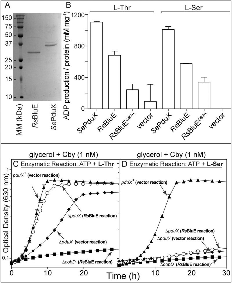 Figure 7.