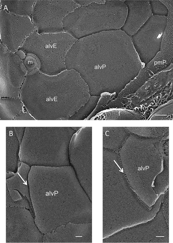 FIG 4