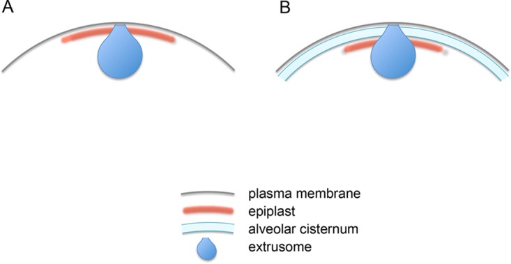 FIG 1