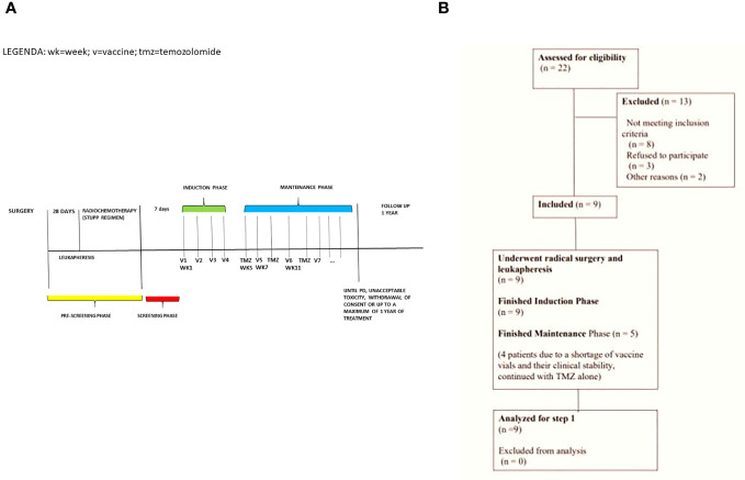 Figure 1