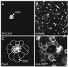 Fig. 1.3