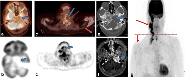 Fig. 7