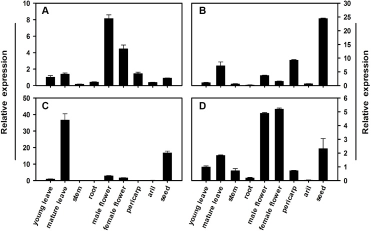 Figure 5