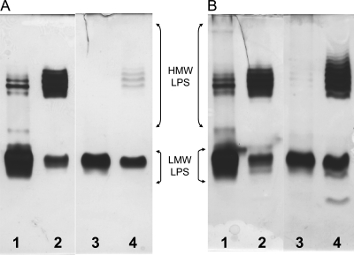 Fig. 2.