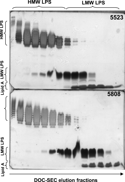 Fig. 3.