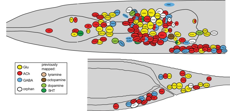 Figure 11.