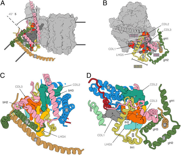 Fig. 4.