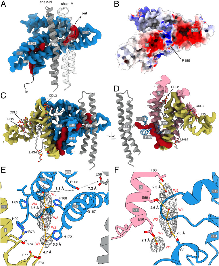 Fig. 2.