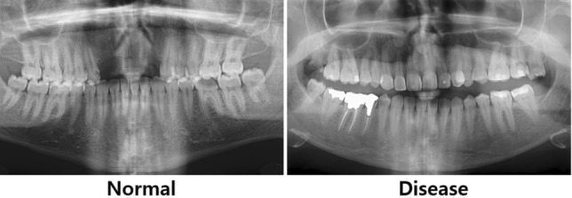 Fig. 6