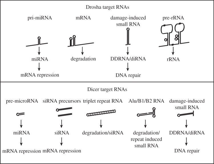 Figure 2.