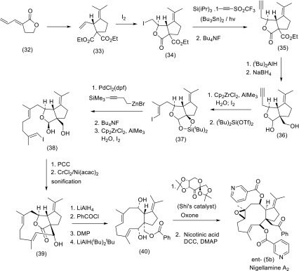 Scheme 4