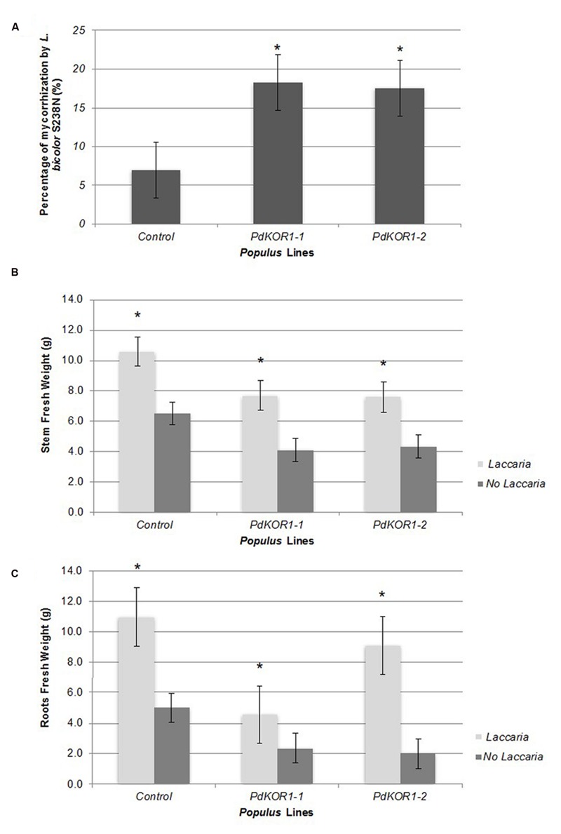 FIGURE 6