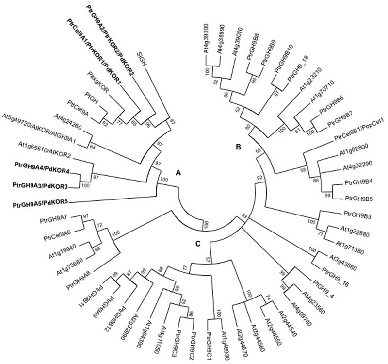 FIGURE 1