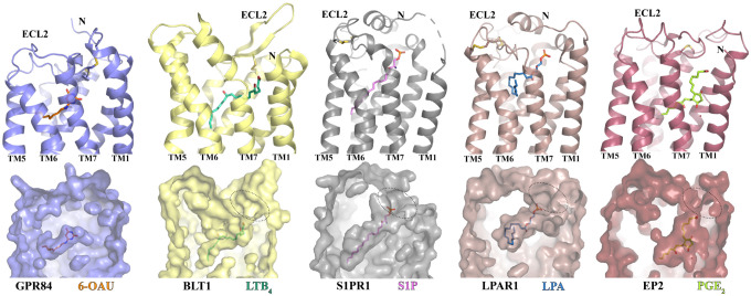 Figure 4.