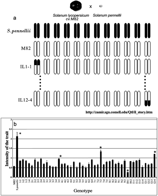 Fig. (1)