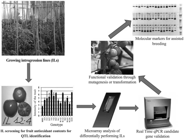 Fig. (3)