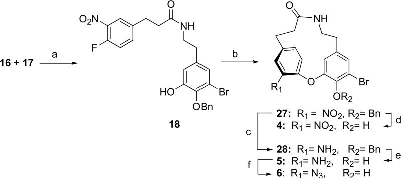 Scheme 4