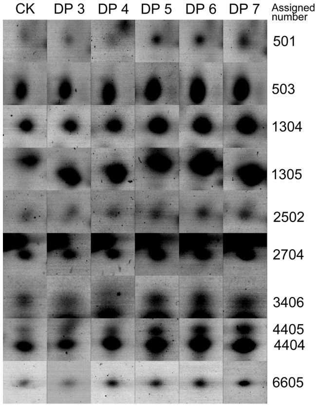 Figure 6