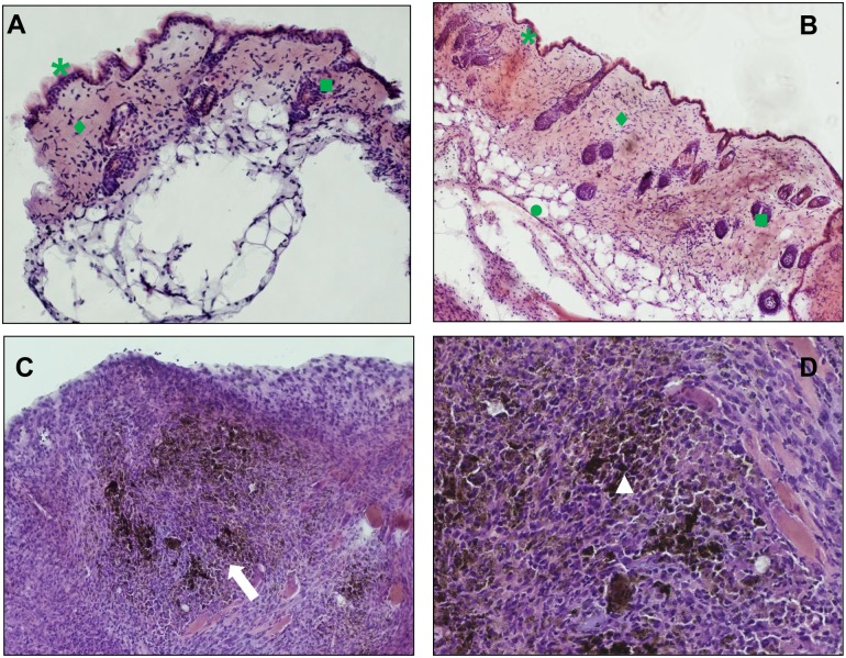 Fig 6