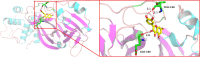 Figure 13