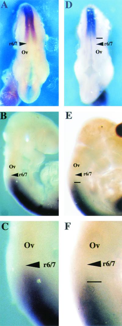 FIG. 7.