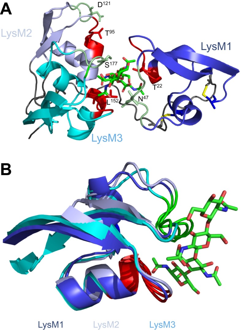 Figure 2.