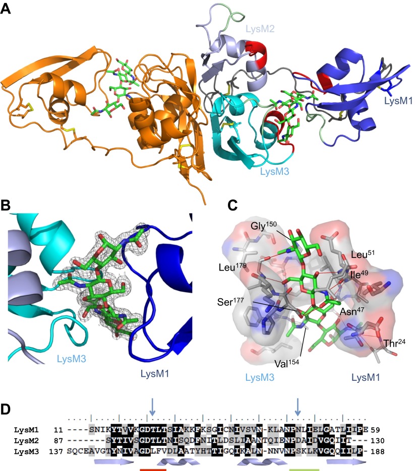 Figure 1.