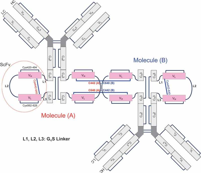 Figure 7.