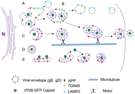 Figure 11