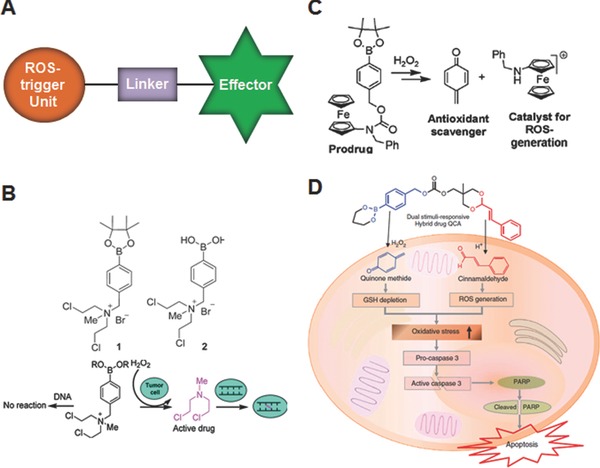 Figure 14