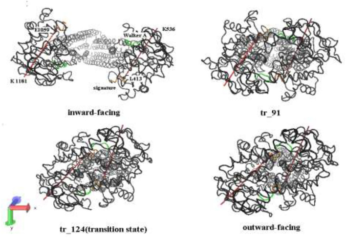 Figure 6