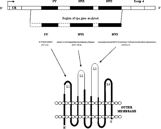 FIG. 1.