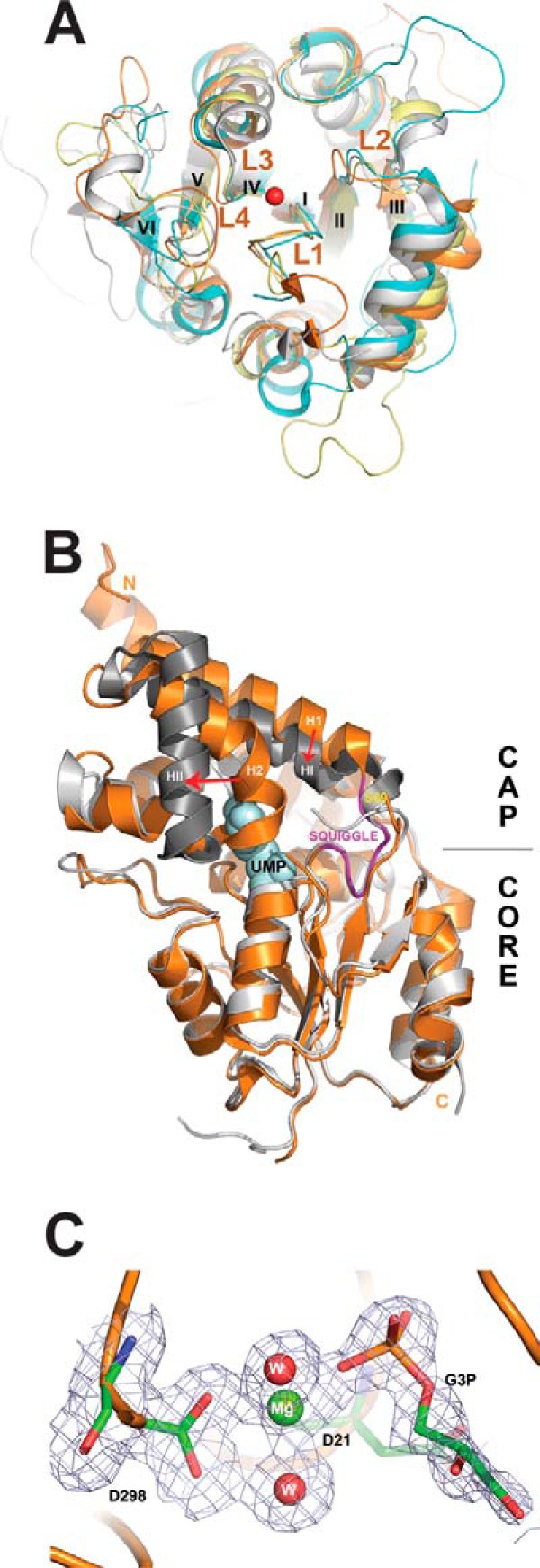 FIGURE 6.